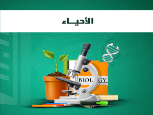 المادة كاملة-محمد بسمان2026